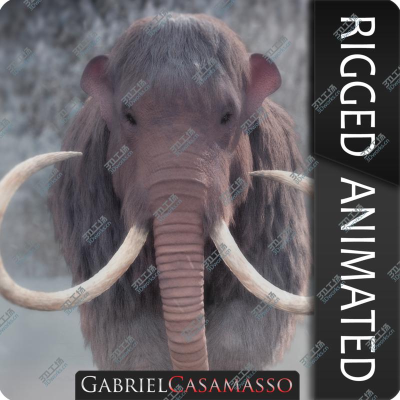 images/goods_img/20210319/3D Mammuthus primigenius Anatomy Pack model/2.jpg